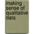 Making Sense of Qualitative Data