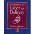 Management of Labor and Delivery