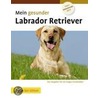 Mein gesunder Labrador Retriever by Lowell Ackerman