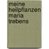 Meine Heilpflanzen Maria Trebens