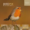 Birdpix 25x25 kalender
