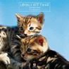 Lovely kittens 30x30 kalender