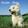 Honden 30x30 kalender