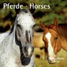 Paarden 30x30 kalender