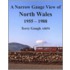 Narrow Gauge View Of North Wales