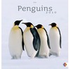 Penguins 30x30 kalender door Onbekend