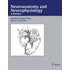 Neuroanatomy And Neurophysiology