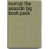 Num:at The Seaside Big Book Pack