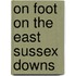 On Foot On The East Sussex Downs