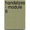 Handelzes - module 6 by Van de Cruys