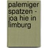 Palemiger Spatzen - Joa hie in Limburg