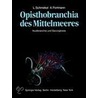 Opisthobranchia des Mittelmeeres by L. Schmekel