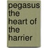 Pegasus The Heart of the Harrier