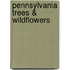 Pennsylvania Trees & Wildflowers