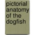 Pictorial Anatomy Of The Dogfish