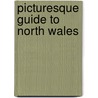 Picturesque Guide To North Wales door Adam And Charles Black