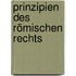 Prinzipien des römischen Rechts
