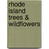 Rhode Island Trees & Wildflowers
