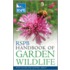 Rspb Handbook Of Garden Wildlife