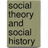 Social Theory And Social History door Donald M. MacRaild