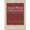 Social Work Diagnosis Practice C door Francis Joseph Turner