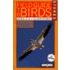 Stokes Field Guide to Bird Songs