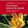 Strasburger Lehrbuch der Botanik door C. Korner