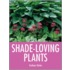 Success with Shade-Loving Plants