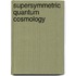 Supersymmetric Quantum Cosmology