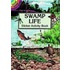 Swamp Life Sticker Activity Book