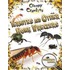 Termites And Other Home Wreckers
