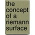 The Concept Of A Riemann Surface