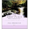 The Deep Place Where Nobody Goes door Jill Briscoe