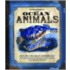 The Field Guide to Ocean Animals