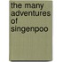 The Many Adventures Of Singenpoo