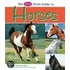 The Pebble First Guide to Horses