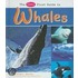 The Pebble First Guide to Whales