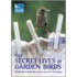 The Secret Lives Of Garden Birds