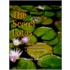 The Secret Of The Blooming Lotus