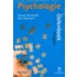 Psychologie oefenboek