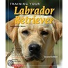 Training Your Labrador Retriever door September Morn