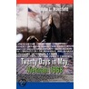Twenty Days in May, Vietnam 1968 door John L. Mansfield