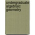 Undergraduate Algebraic Geometry