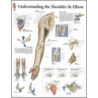 Understanding Shoulder And Elbow door Authors Various