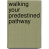Walking Your Predestined Pathway by Scott Allen Franke