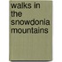 Walks In The Snowdonia Mountains