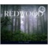 Welcome to Redwood National Park