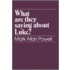 What Are They Saying About Luke?