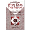 What Does This Mean? 2nd Edition door James W. Voelz