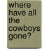 Where Have All the Cowboys Gone?